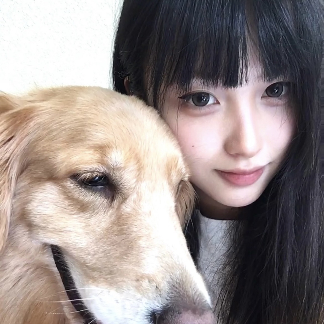 Muzze || Art & History Museum