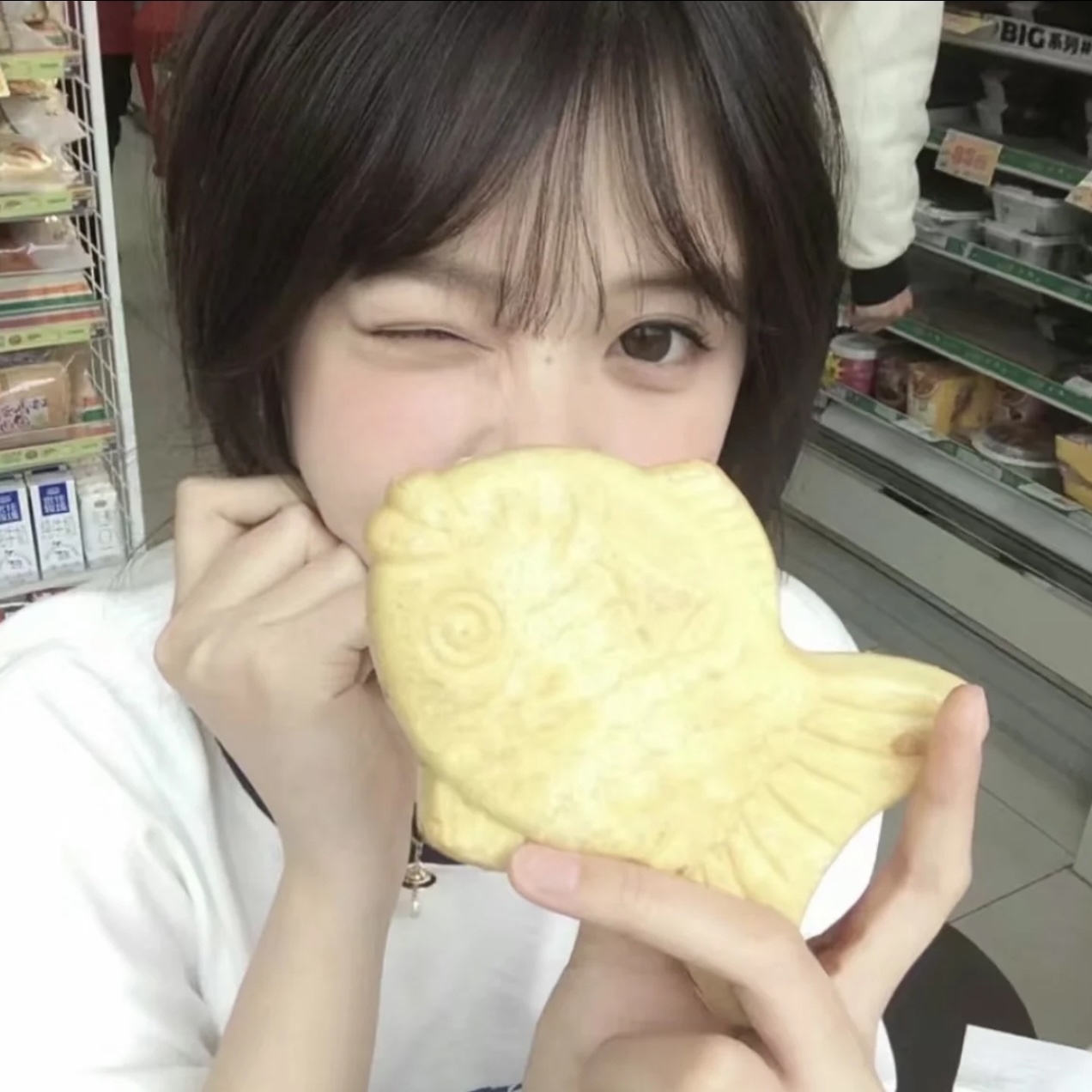 Muzze || Art & History Museum